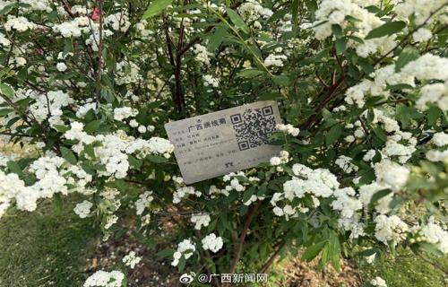 钉钉考勤新规上班期间禁止使用微信微博确保准时上下班